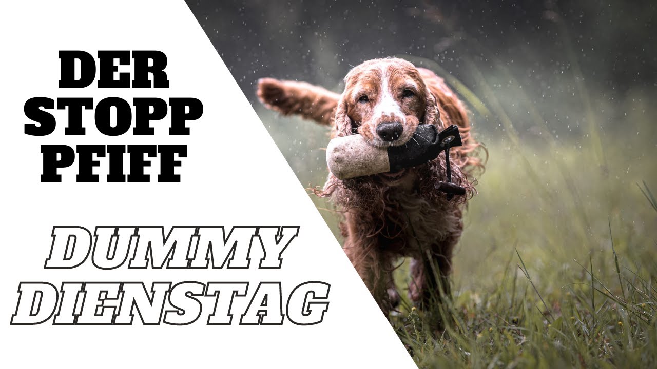 Dummytraining: Der Stopp-Pfiff