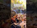 🥾Perfect 3 Day West Virginia Adventure Itinerary @wvtourism West Virginia is full of adventure