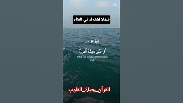 سورة العنكبوت #اكسبلور #اكسبلور #المصحف #لايك #القزابري #دويتو #الرحمن #السعودية #تيك_توك