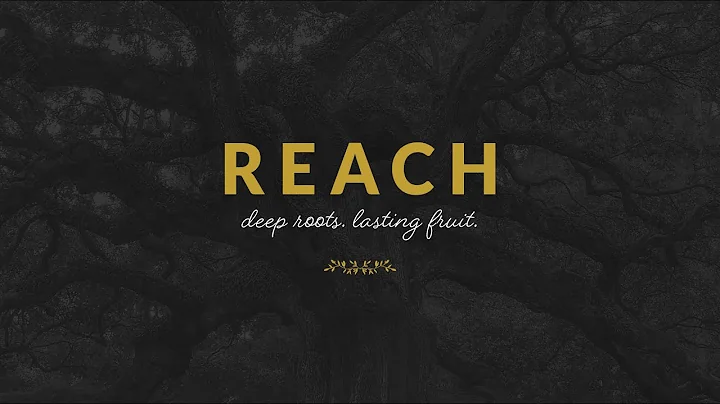 Reach Week 4 | Kathryn Lowry Interview