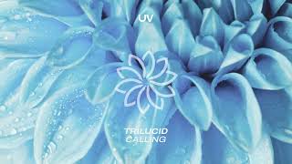 Trilucid - Calling