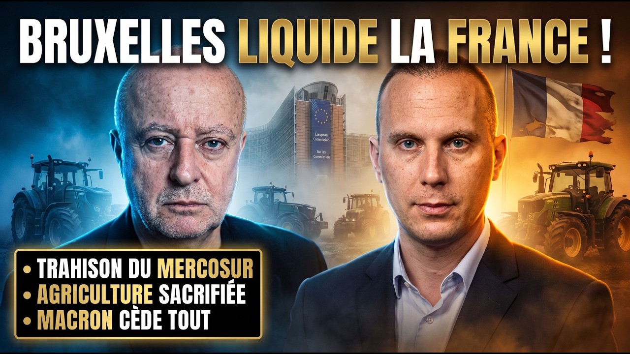 Texte du Mercosur : ce qu'il dit de plus GLAÇANT sur BRUXELLES | GPTV