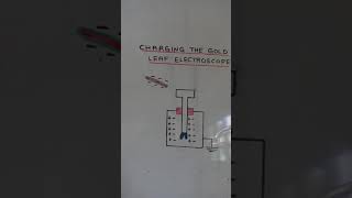 Charging the gold leaf electroscope