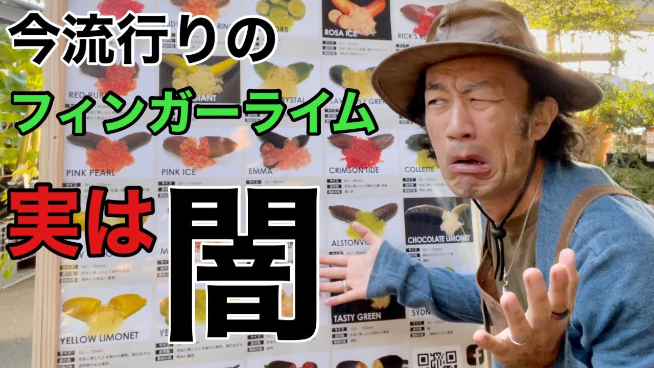 興味がある方は必ず見てください　【カーメン君】【園芸】【ガーデニング】【初心者】【フィンガーライム】