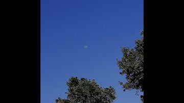 أرح سمعك # مع القارئ إسلام صبحي ((سوره النحل))