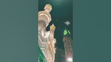 تلاوة لي ياسر الدوسري لنا تستطيع التوقف عن تكرارها 🔂