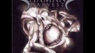 Video thumbnail of "Shaman's Harvest - Say The Same"