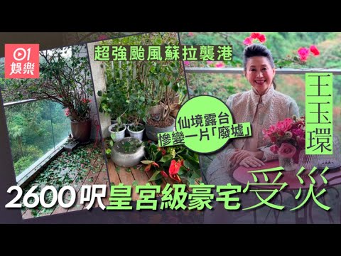 王玉環2600呎豪宅受颱風蘇拉吹襲　昔日森林仙境慘變一片廢墟｜01娛樂｜王玉環｜香港名人｜香港娛樂新聞