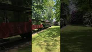 Waldeisenbahn Bad Muskau #shorts #train #railway #steam