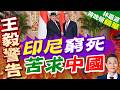 陸媒:印尼全面停購柴油 轉頭緊急訪華求和 王毅直言拒絕脫鉤斷鏈｜印尼窮死 苦求中國｜介文汲.帥化民.謝寒冰深度剖析【林嘉源辣晚報】精華版 ‪@中天新聞CtiNews‬