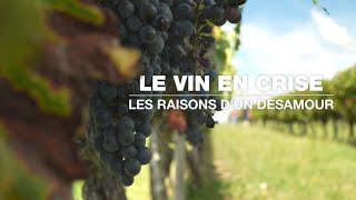 Le vin en crise : les raisons d'un désamour • FRANCE 24