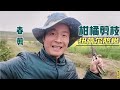 柑橘怎样剪枝？调整纽荷尔脐橙树型，为春稍提供生长空间