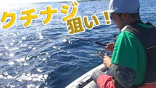 ２馬力ボートでクチナジ狙いに行ったら、カツオが釣れた…！