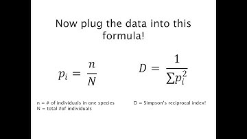 Alpha and Beta Diversity