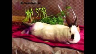 Nina Star - Recuperándose