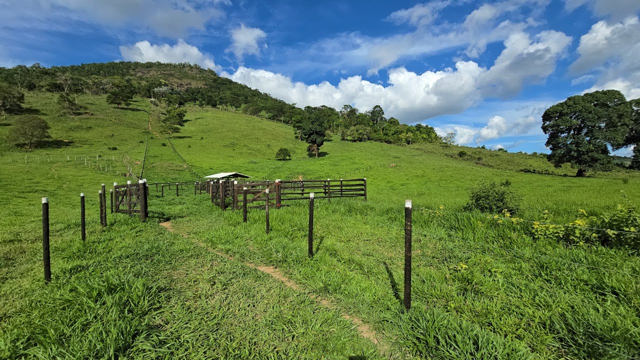 ✨️🌿 VENDO SÍTIO SÃO PAULINHO 10.2298HA COM CURRAL CÓRREGO TODA PRONTA ✨️🌿