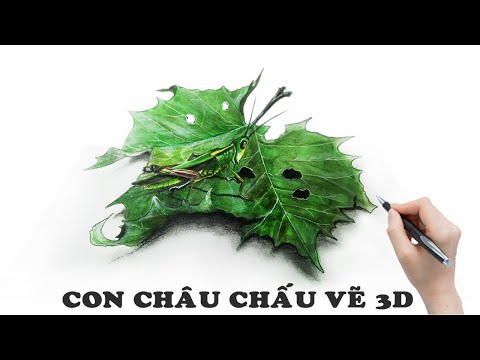 Video How to Draw Grasshopper/Vẽ con Châu chấu/# Pham Hoa... - youtube