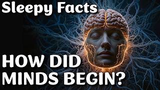 How Minds Evolved The Complete Story of Intelligence for Sleep