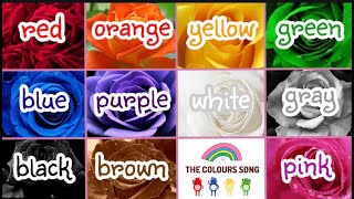 The colours song. Kids rhyme song. Preschool kids song.