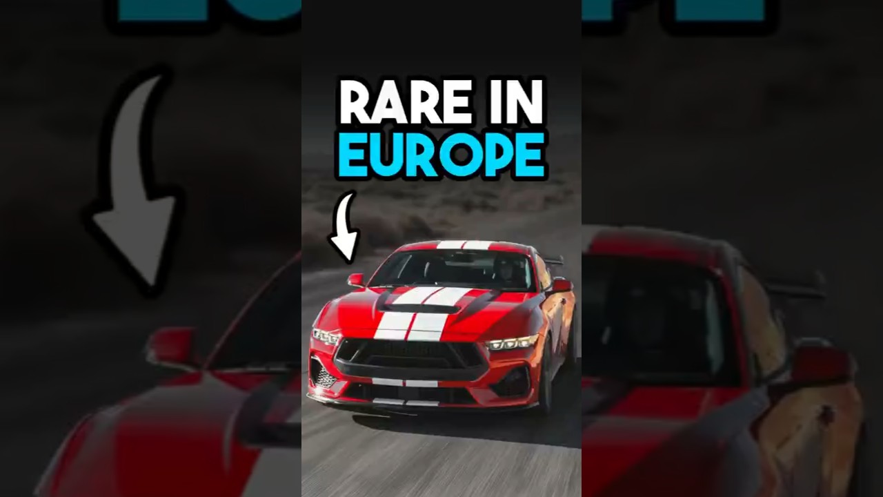 American VS European Car Culture 🤯