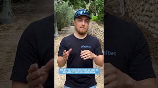 Zen of Python 18: If the implementation is easy to explain, it may be a good idea. #pythonic