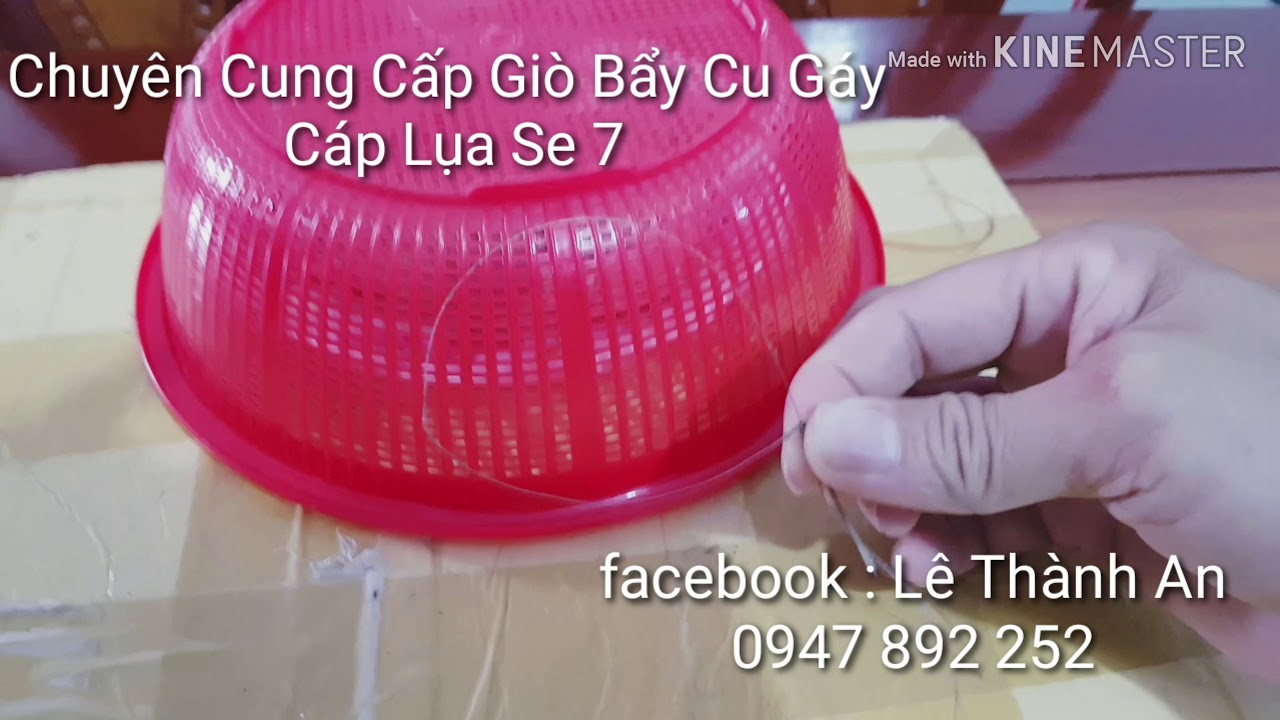 03 / 09 / 2019 : Hướng Dẫn Cách Cấm Giò Bắt Bổi Trận