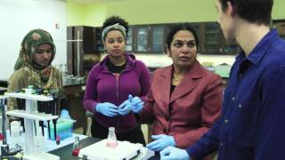 Harrisburg University:  Your Story Begins Here