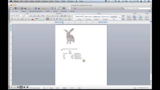 How to Merge a Word Document & an Excel Sheet Together : Microsoft Office Tips