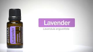 Great Pure Essential Oils and Aromatherapy Shop Near Me Lathrop CA