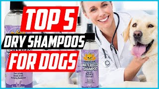 ✅Top 5 Best Dry Shampoos For Dogs in 2022