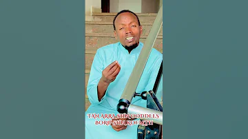 26 July 2025 