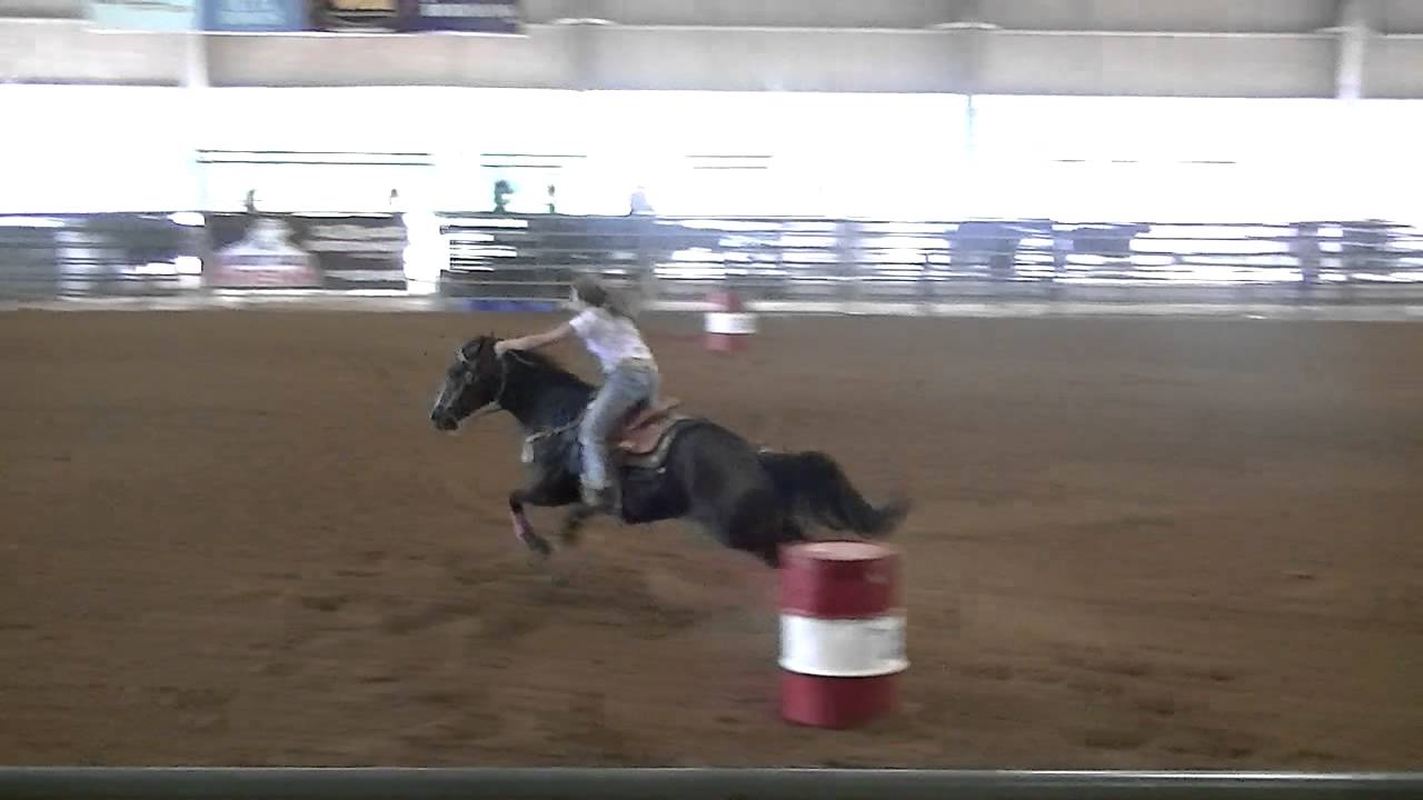 1d Barrel Racing Barrel Racing USA 1D winning run LeeAnn Cole and NotJustAnyJo - YouTube