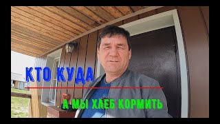 Кто куда, а мы Хлеб кормить