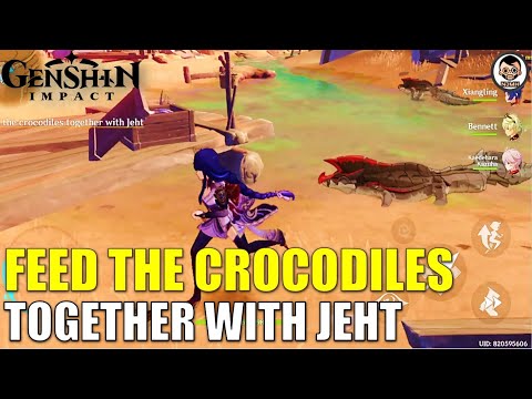 Feed the crocodiles together with Jeht | Genshin Impact