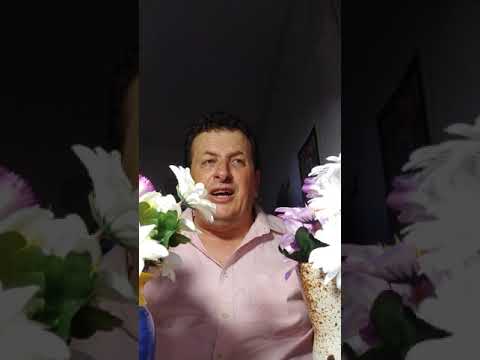 אהבה בפרחים שיר אהבה רומנטי לחג האהבה המוקדש לרעייתי האהובה 