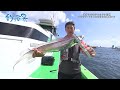 【釣り百景】#359 沖釣りの名手ふたりの共演　タチウオ・ヤリイカの引きを堪能する