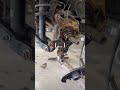 Subaru rear bearing removal