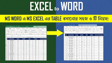 Top 3 Methods To Copy Excel Table To Word & Keep It Auto-updated