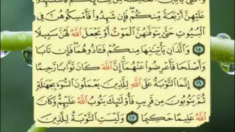 سورة النساء من الاية 12  الى الاية 19