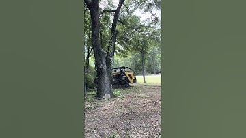 Forestry mulching storm damage. #asv #fecon #mulching #landclearing