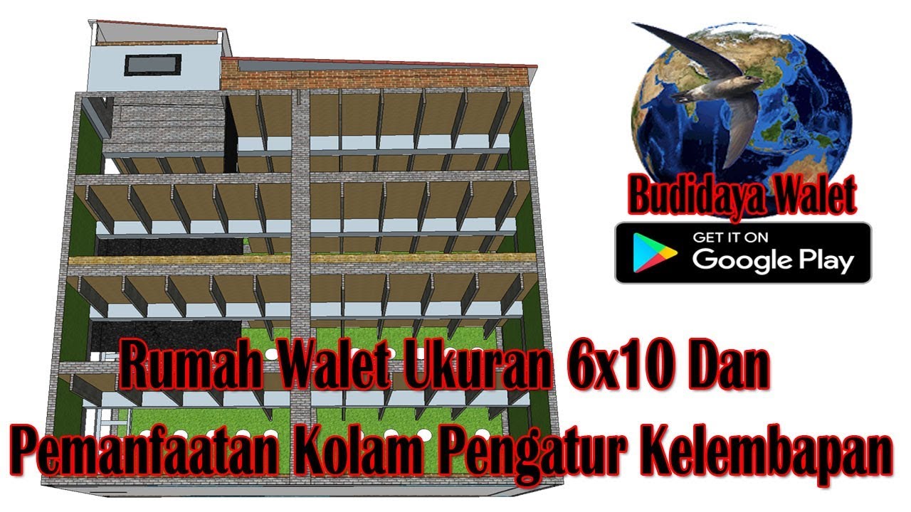 Desain Rumah Walet 6x10 Desainhom