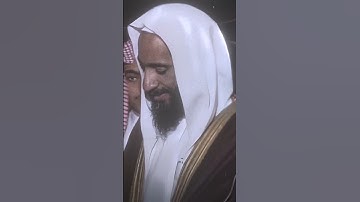 تلاوة ندية للشيخ أحمد بن طالب✨❤️#اكسبلور #القرآن_الكريم #المصحف #المسجد_النبوي