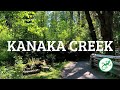 Kanaka Creek Regional Park&#39;s Cliff Falls Canyon Trail, Maple Ridge, BC | PerfectDayToPlay TV