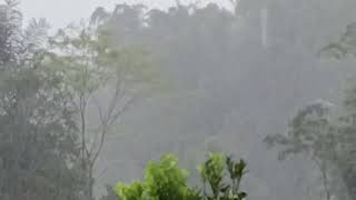 Rain In The Mountain : A Calm Natural Sounscape For Deep Relaxation