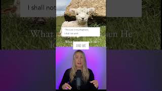 Will you scroll past this baby lamb⁉️🥹😲 #jesus #god #animals #shorts #shortsfeed #babyanimals