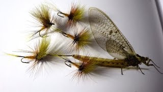 Tying a Ginger Mayfly (Dry Fly) with Davie McPhail