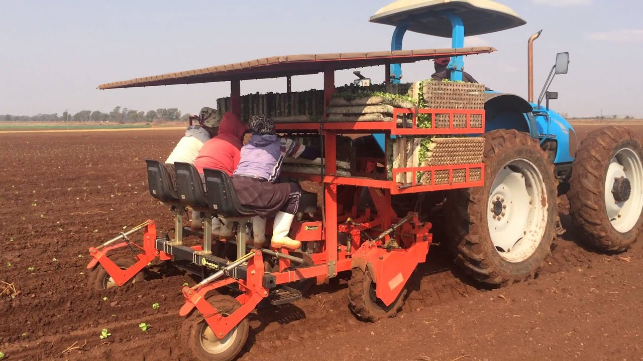 BABY COMPACT 3 ROWS PLANTER SOUTH AFRICA YouTube