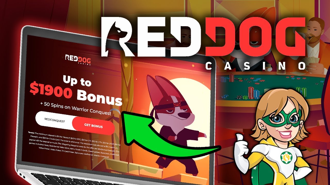 12 Questions Answered About news