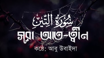 surah at tin। ,সূরা আত ত্বীন । سورة التين। সূরা ত্বীন বাংলা অর্থসহ।
