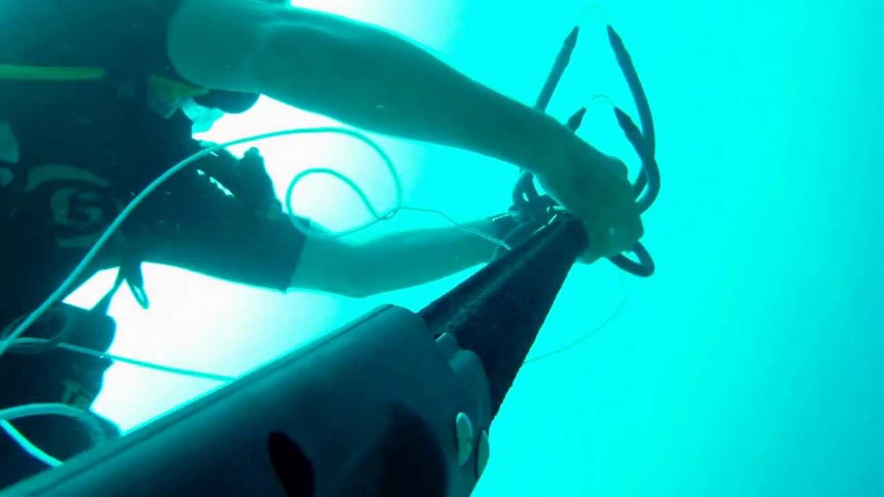 DrLile Spearing 7/7/2012 2